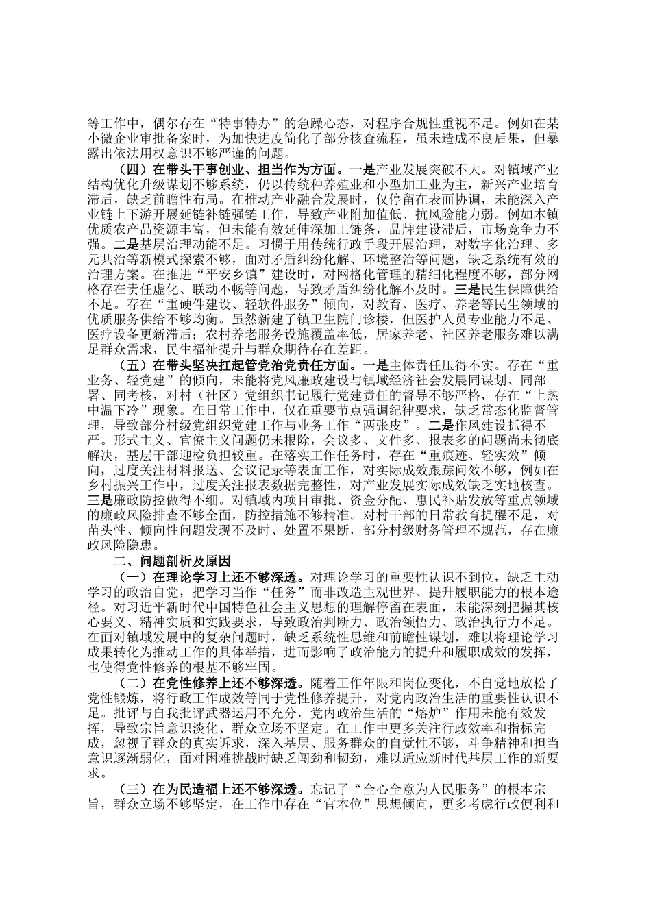 镇长2025年度民主生 活会对照检查发言（五个带头）_第2页