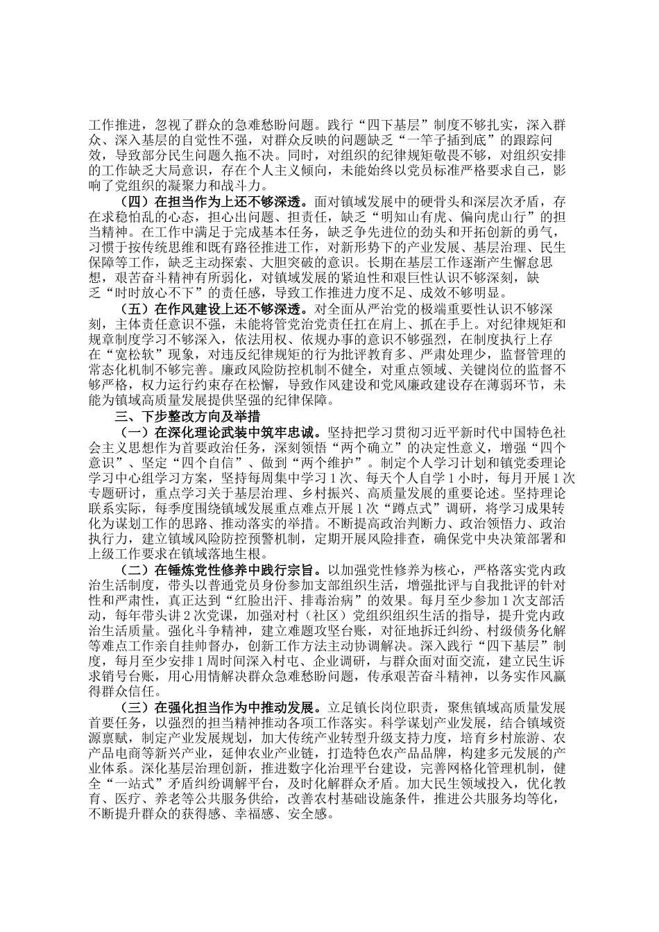 镇长2025年度民主生 活会对照检查发言（五个带头）_第3页