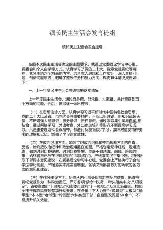 镇长民主 生活会发言提纲