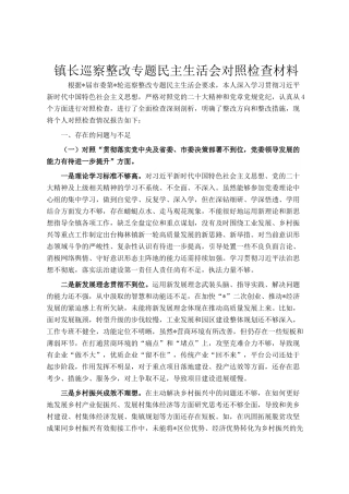 镇长巡察整改专题民 主生活会对照检查材料