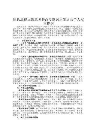 镇长巡视反馈意见整改专题民 主生活会个人发言提纲