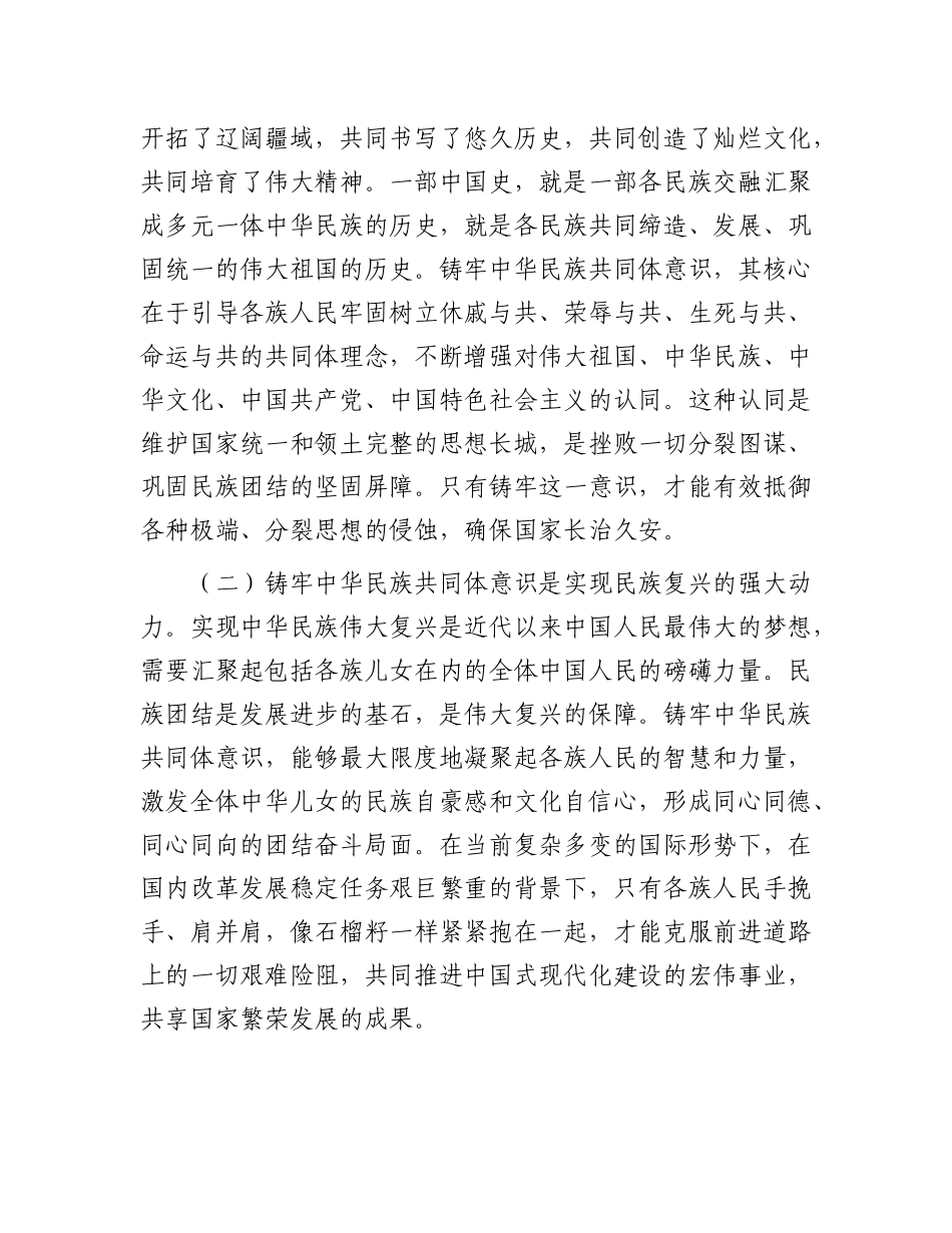 铸牢中华  民族共同体意识党 课（发改）_第2页