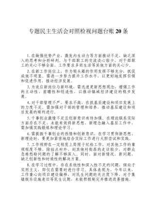 专题民主生  活会对照检视问题台账20条