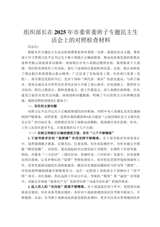 组织部长在2025年市委常委班子专题民主  生活会上的对照检查材料