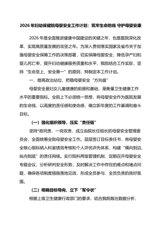 2026年妇幼保健院母婴安全工作计划：筑牢生命防线+守护母婴安康