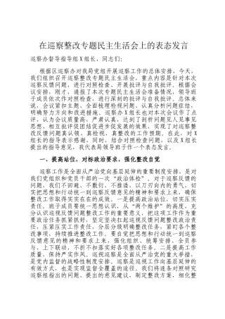 在巡察整改专题民主 生活会上的表态发言