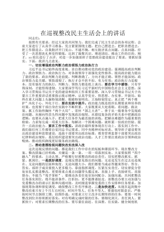 在巡视整改民主 生 活会上的讲话