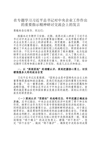 在专题学习总书记 对中央企业工作作出的重要指示精神研讨交流会上的发言