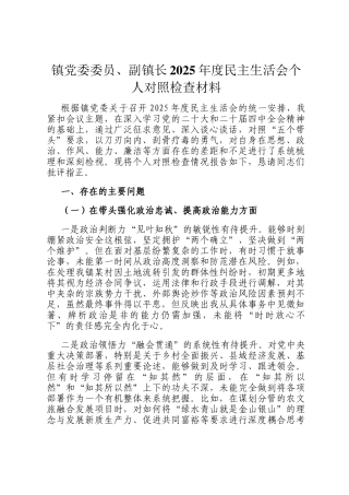 镇党委委员、副镇长2025年度民主 生活会个人 对照检查材料