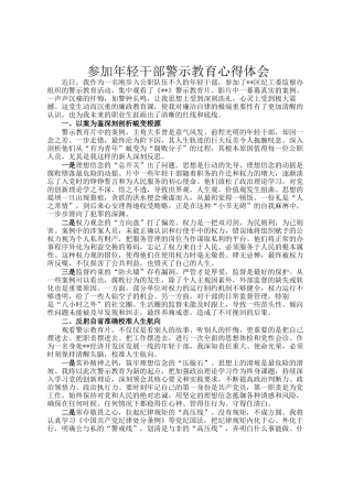 参加年轻干部警示教育心得体会
