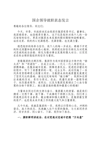 国企领导就职表态发言