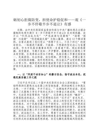 砺初心拒腐防变，担使命护稳促和——观《一步不停歇半步不退让》有感