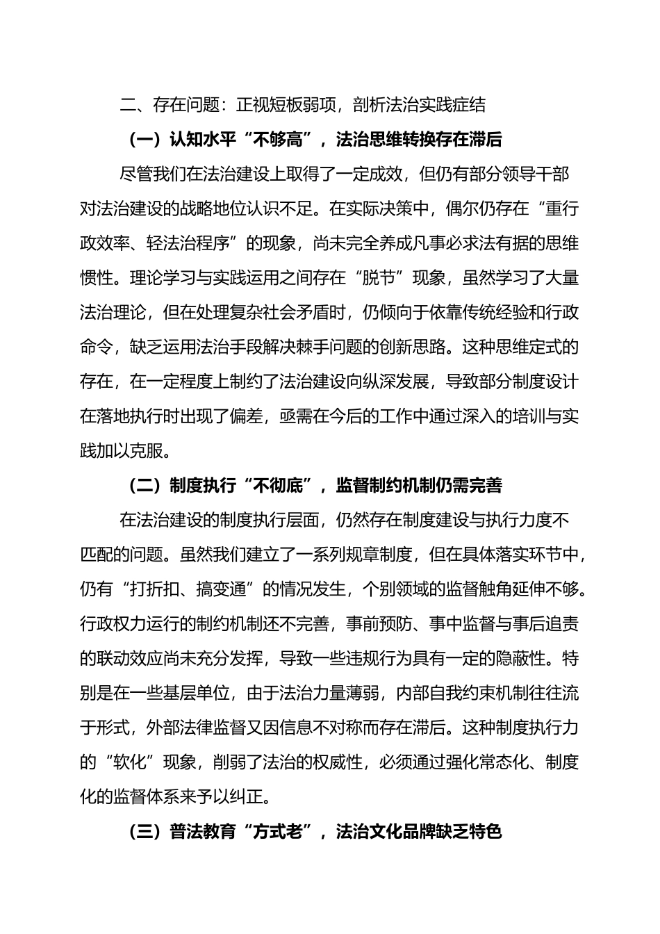 履行推进法治建设第一责任人述职报告：筑牢法治根基，护航高质量发展_第3页