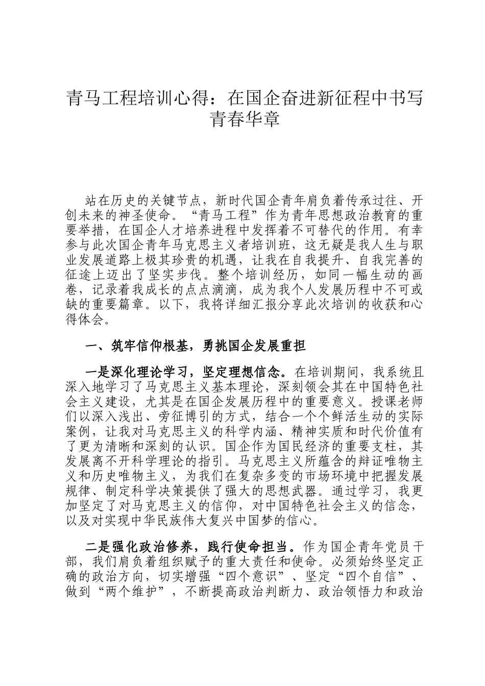 青马工程培训心得：在国企奋进新征程中书写青春华章_第1页