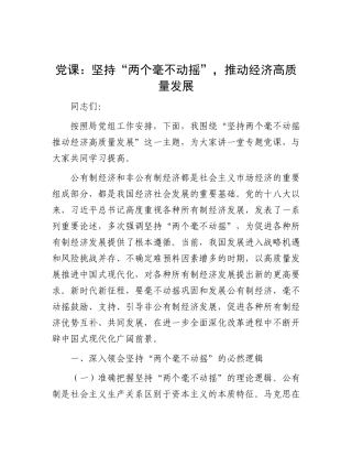 党 课：坚持“两个毫不动摇”，推动经济高质量发展