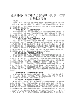 党 课讲稿：深学细悟全会精神 笃行实干扛牢能源报国使命