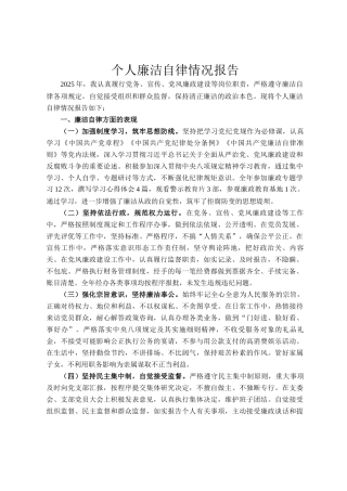 个人廉洁自律情 况报告