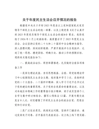 关于年度民主 生活会召开情况的报告
