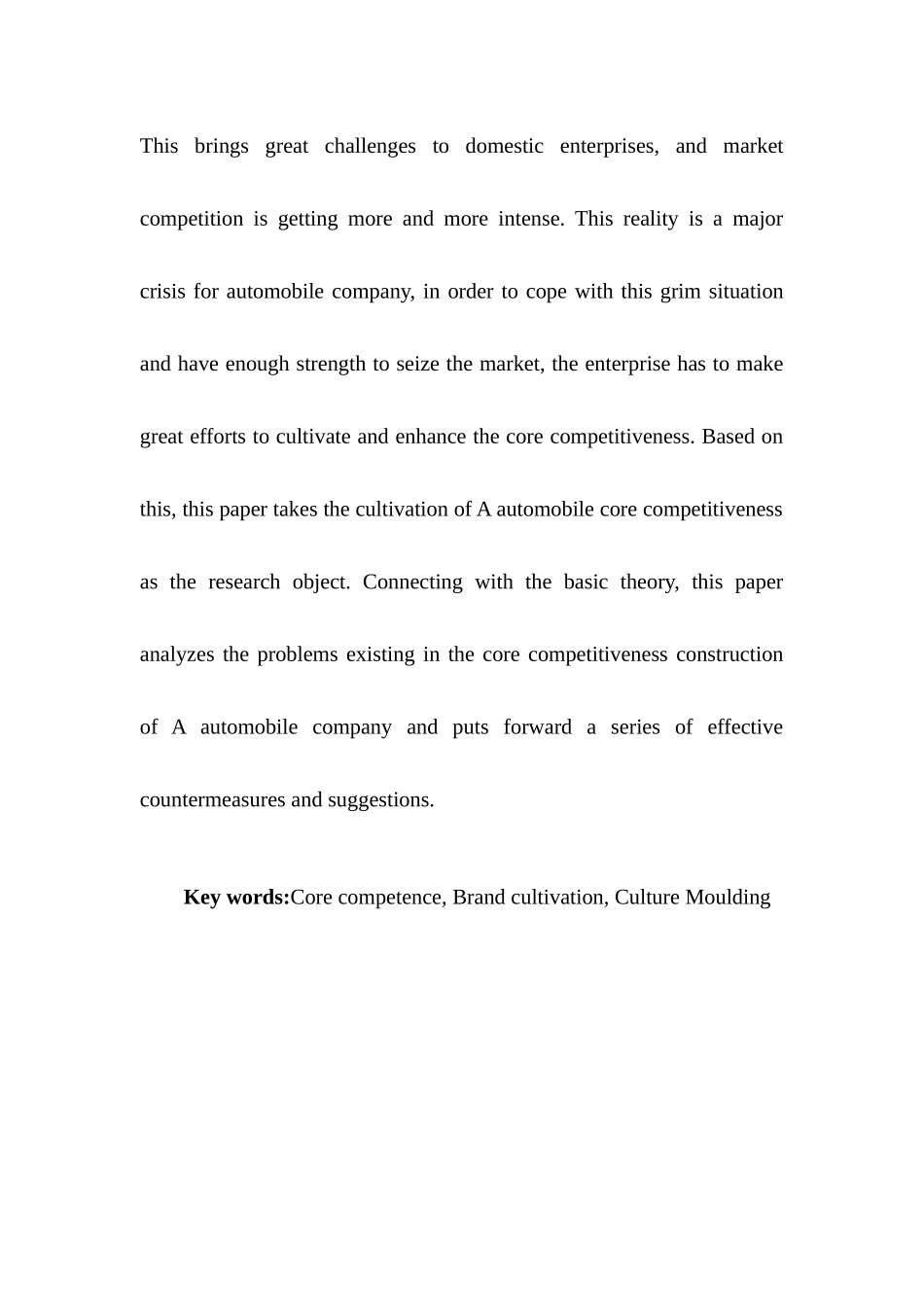 大众汽车公司核心竞争力管理问题的分析报告   工商管理专业_第3页