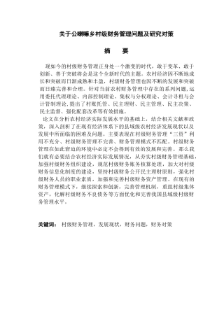 公喇嘛乡村级财务管理问题及研究对策分析研究  财务会计学专业