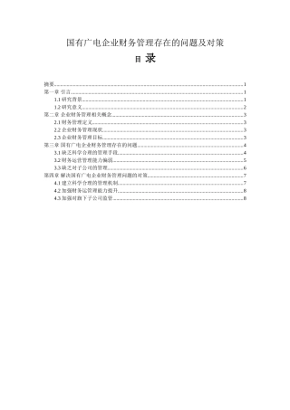 国有广电企业财务运营管理存在的问题及对策分析研究  财务会计学专业