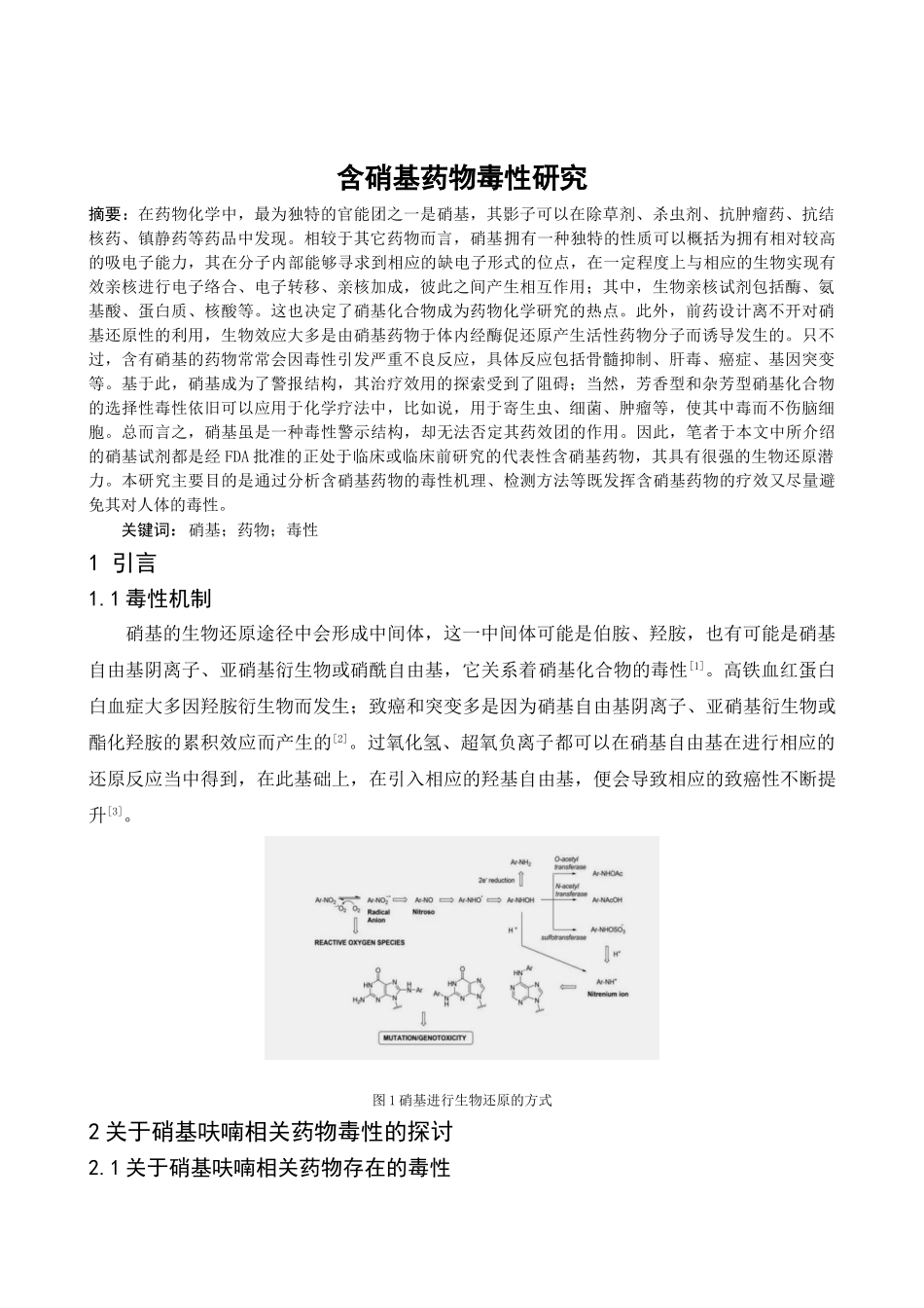 含硝基药物毒性研究分析   药学管理专业_第2页