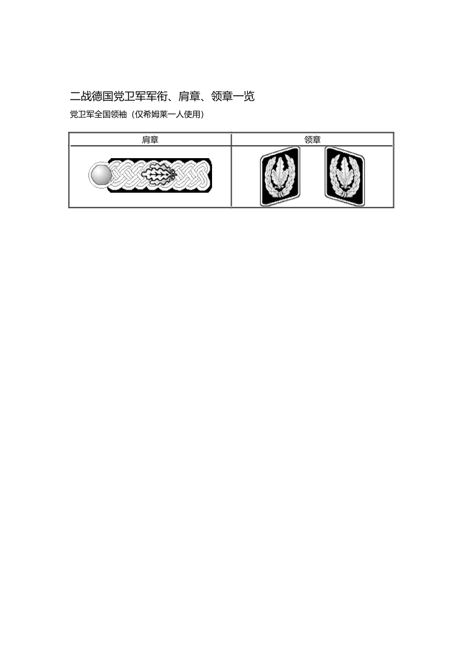 二战德国党卫军军衔、肩章、领章一览_第1页