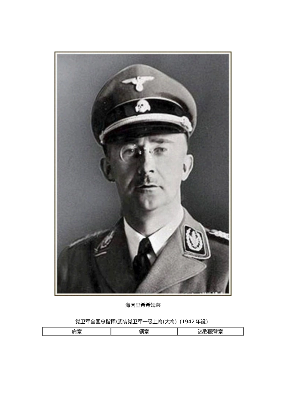 二战德国党卫军军衔、肩章、领章一览_第2页