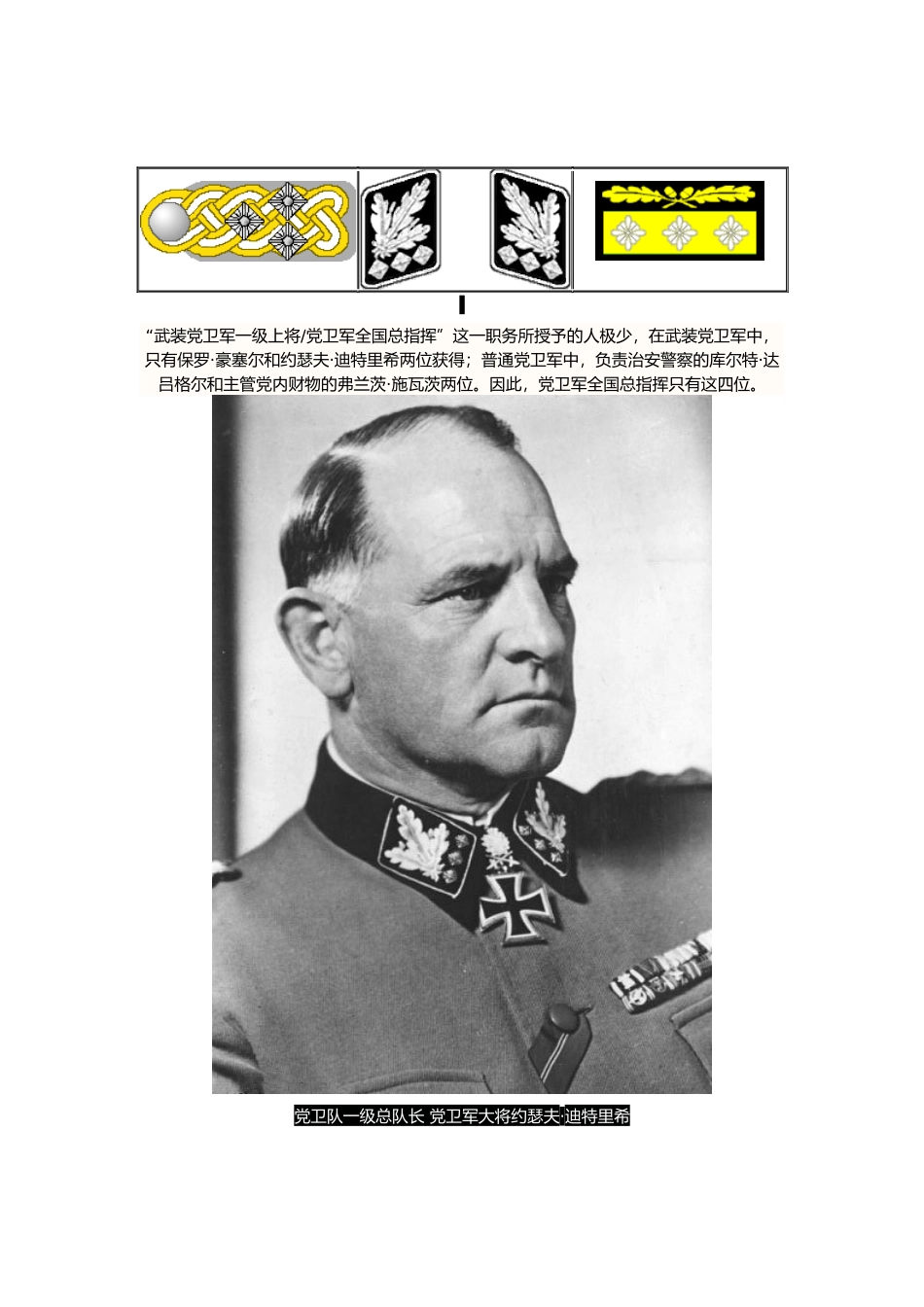 二战德国党卫军军衔、肩章、领章一览_第3页