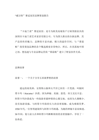 “威尔特”奢适家居品牌策划报告