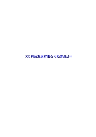XX科技发展有限公司经营规划书