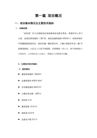 金桥湾项目年度执行策划案