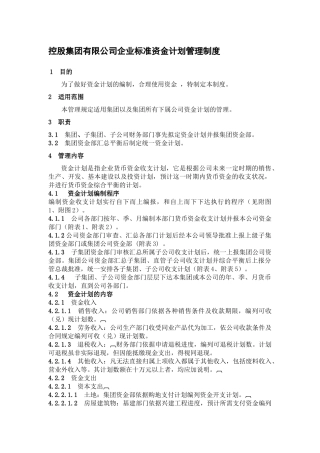 控股集团有限公司企业标准资金计划管理制度