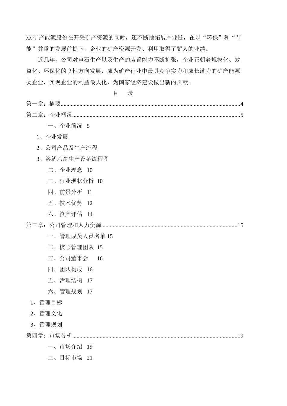 矿产能源有限公司商业计划书_第2页