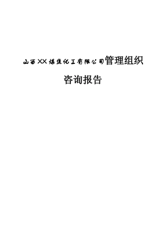 山西XX煤焦化工有限公司管理组织咨询报告