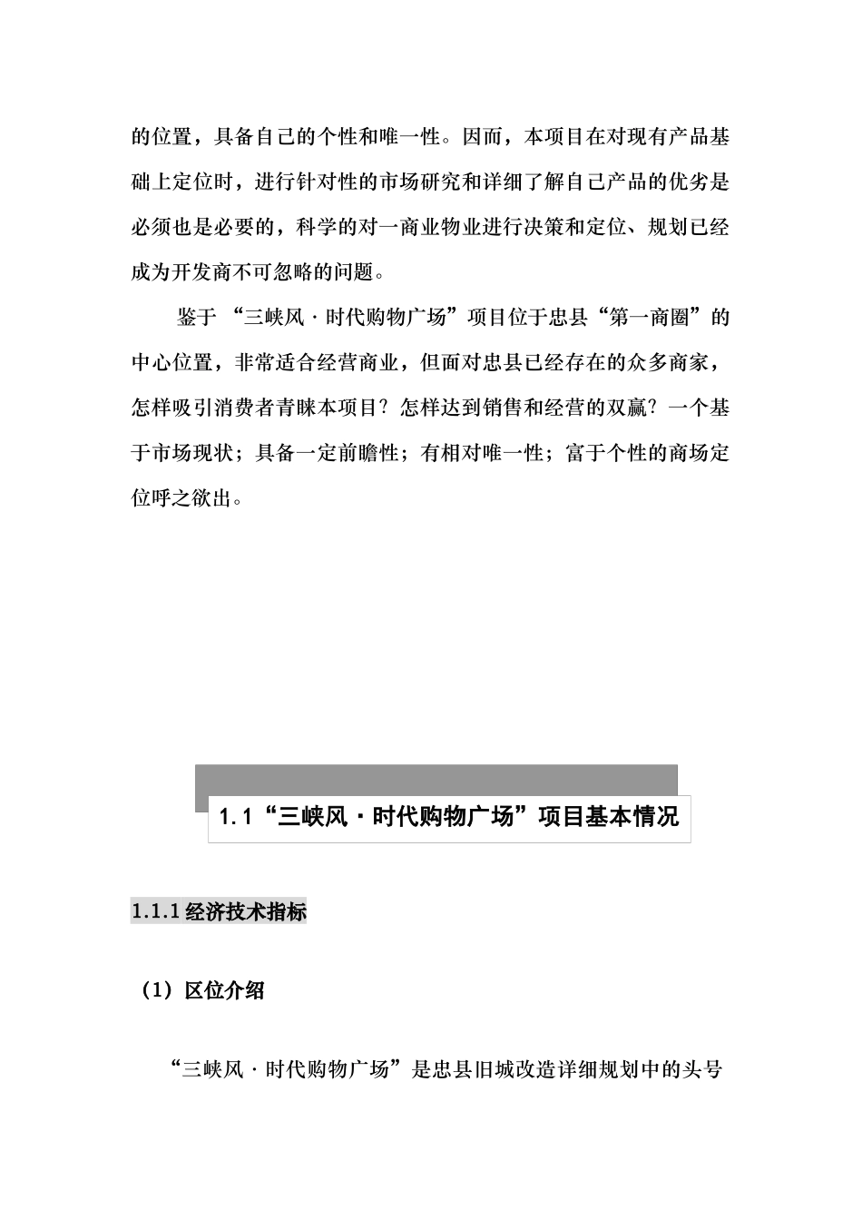 三峡风·时代购物广场项目策划_第2页