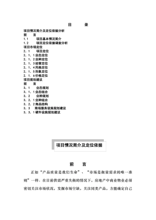三峡风·时代购物广场项目策划