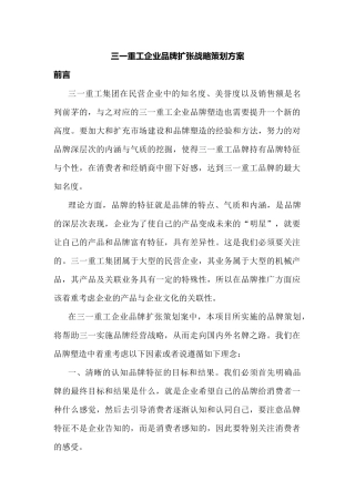 三一重工企业品牌扩张战略策划方案