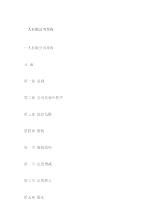 一人有限公司章程
