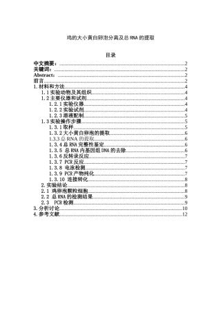 鸡的大小黄白卵泡的分离和总RNA提取分析研究 生物技术专业