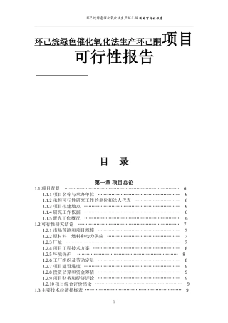 环己烷绿色催化氧化法生产环己酮项目可行性报告