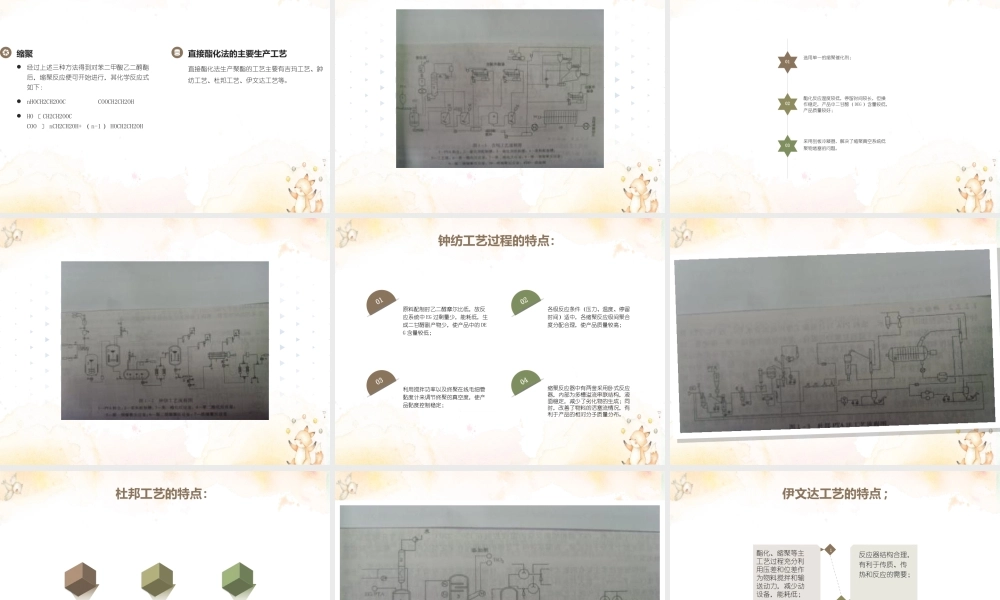聚酯工艺基础知识汇总