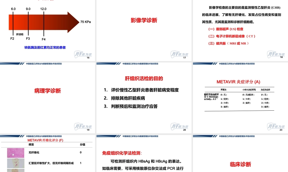 慢性乙型肝炎的诊断