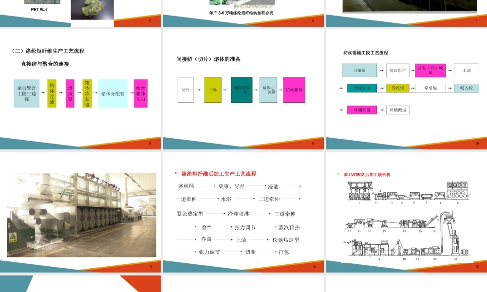 涤纶短纤维纺丝工艺与质量控制(直接纺)—涤纶短纤维的纺丝
