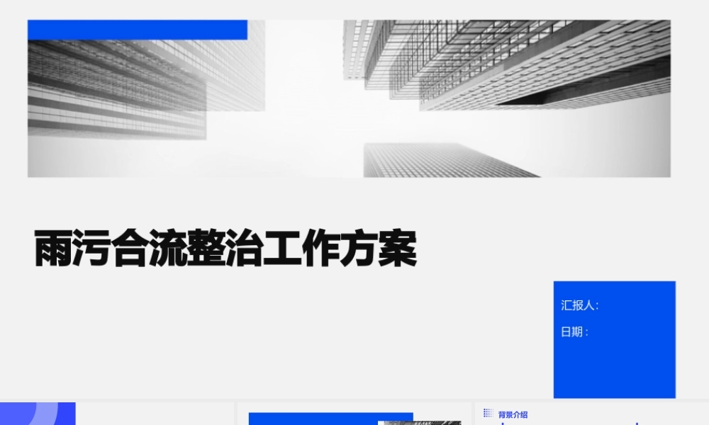 雨污合流整治工作方案