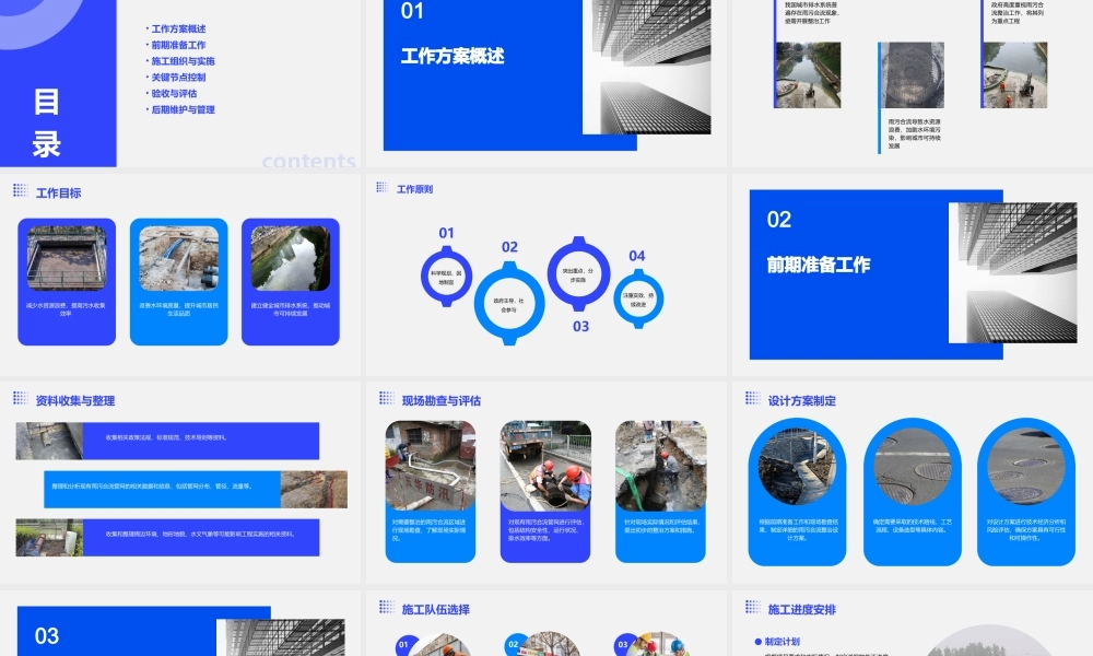 雨污合流整治工作方案