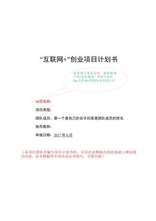 “互联网+”创业项目计划书模板