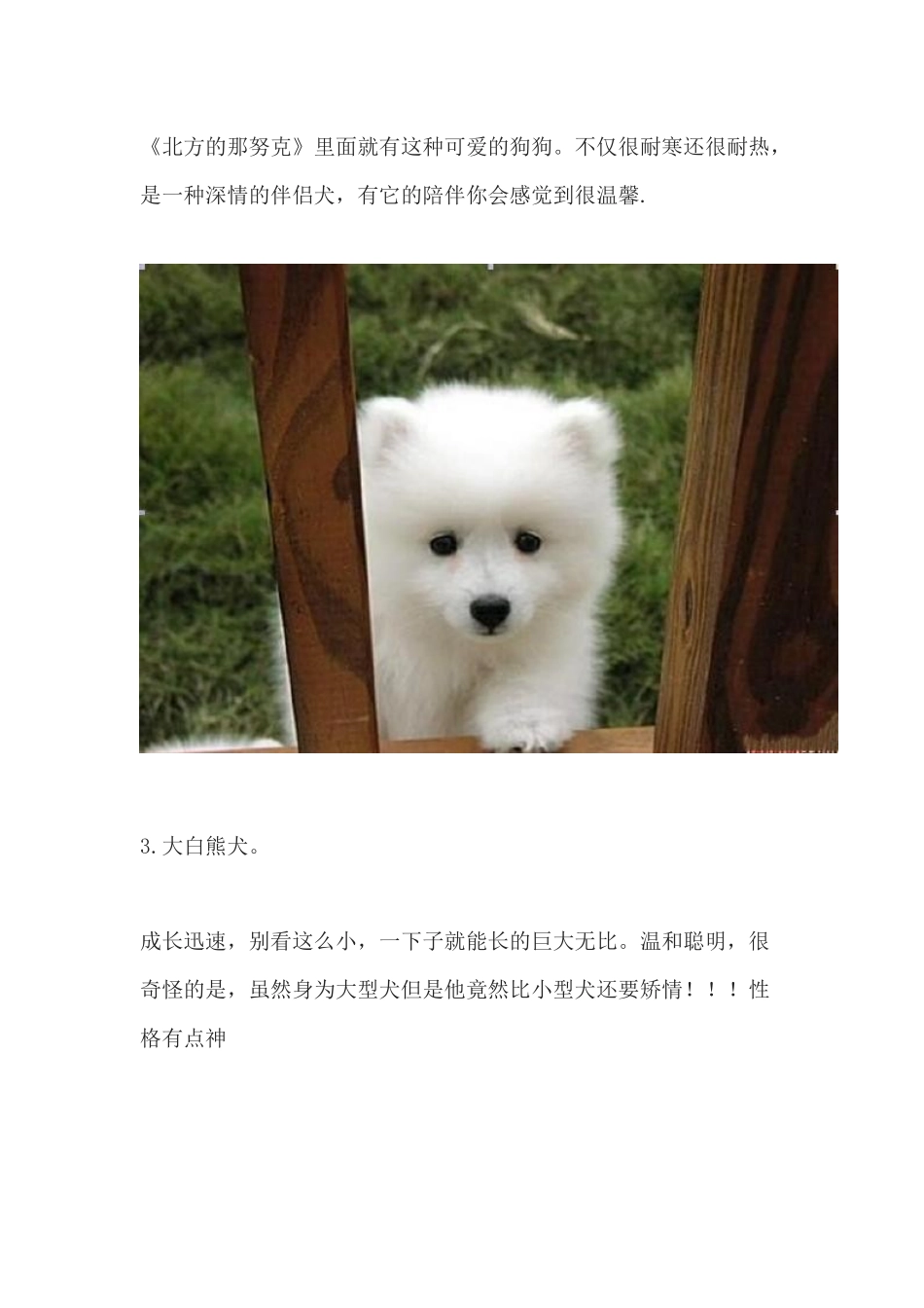 超全世界犬种介绍及狗狗资料_第2页
