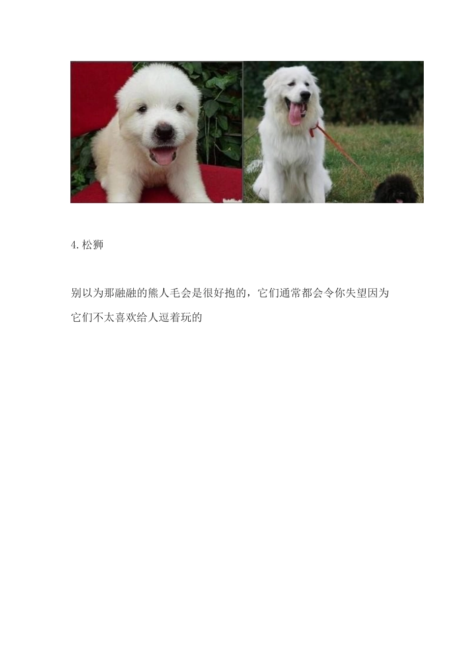 超全世界犬种介绍及狗狗资料_第3页