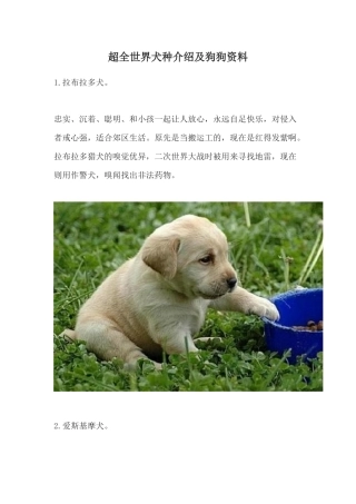 超全世界犬种介绍及狗狗资料
